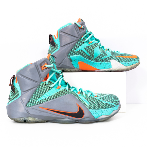 Nike Other - Nike LeBron 12 NSRL Size 10 #00467